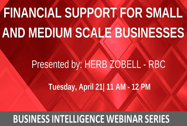 Business Intelligence Webinar: Financial Support for Small and Medium Scale Businesses