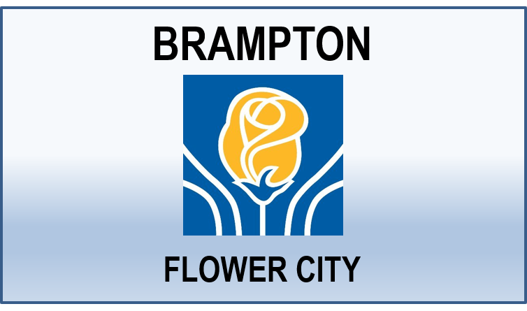 Vendor Information Sessions with the City of Brampton