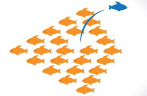 A group of orange fish with one blue fish swimming out of the pack in the opposite direction.