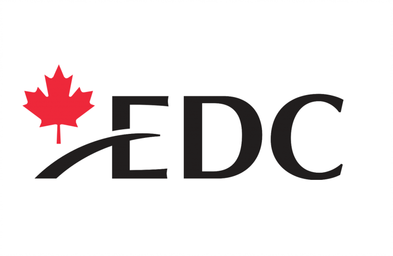 Senior Advisor, Accessibility and ID&E Specialist – 12 Month Contract – Remote, anywhere in Canada  – 0003L9